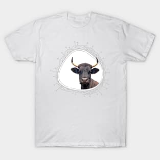 Cow Farm Animal Portrait Peekaboo T-Shirt